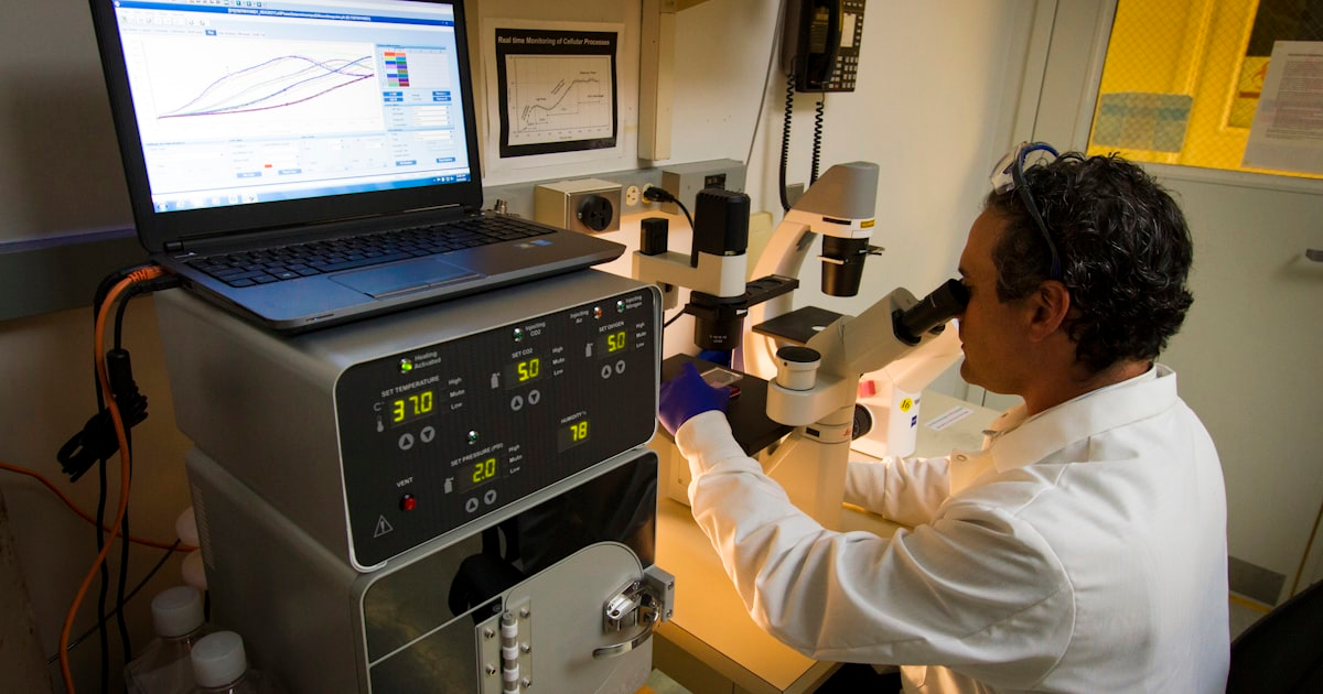 The Process of Antigen Design