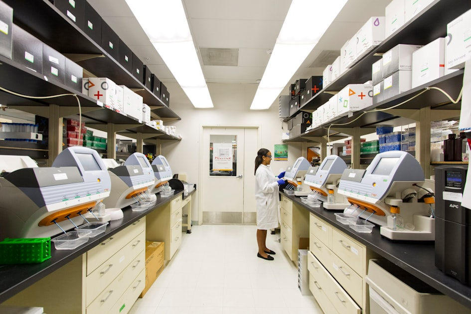 Understanding Diagnostic-Grade Antibodies